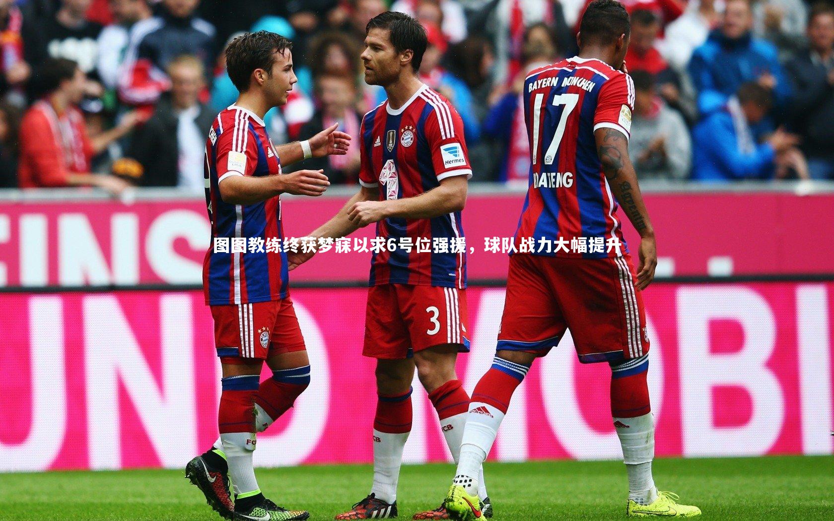 图图教练终获梦寐以求6号位强援，球队战力大幅提升